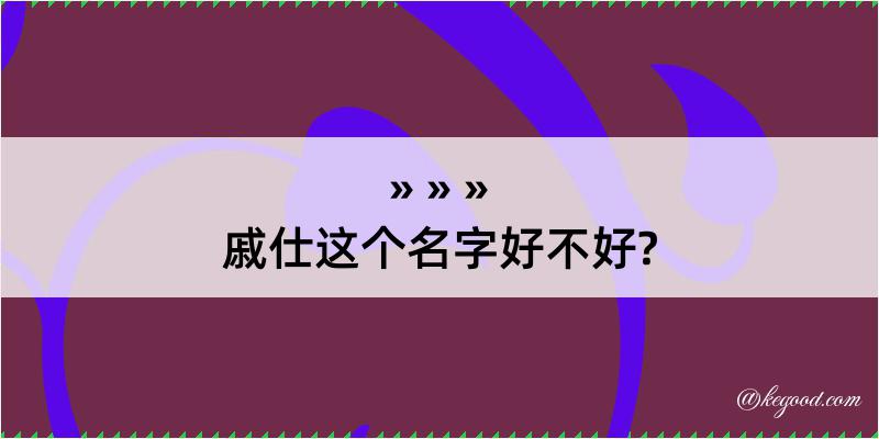 戚仕这个名字好不好?