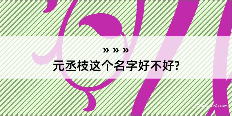 元丞枝这个名字好不好?