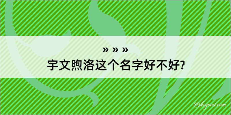 宇文煦洛这个名字好不好?