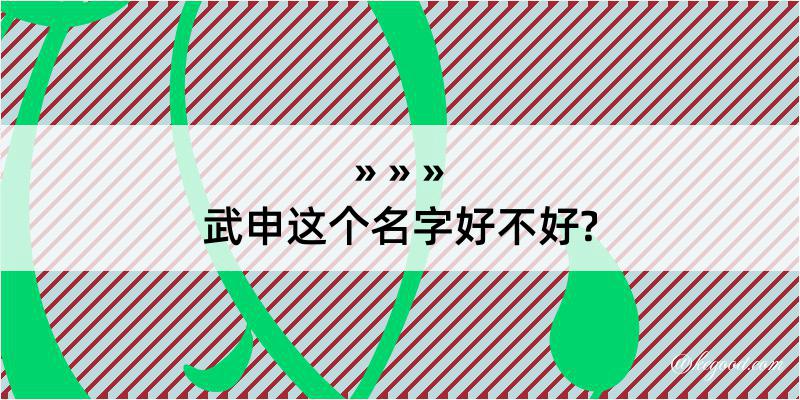 武申这个名字好不好?