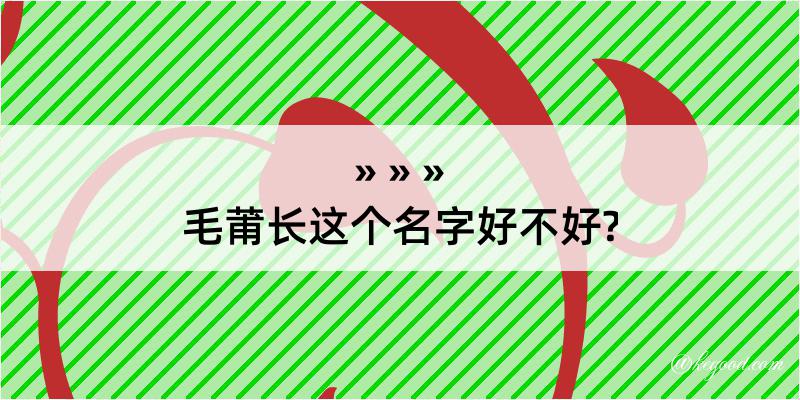 毛莆长这个名字好不好?