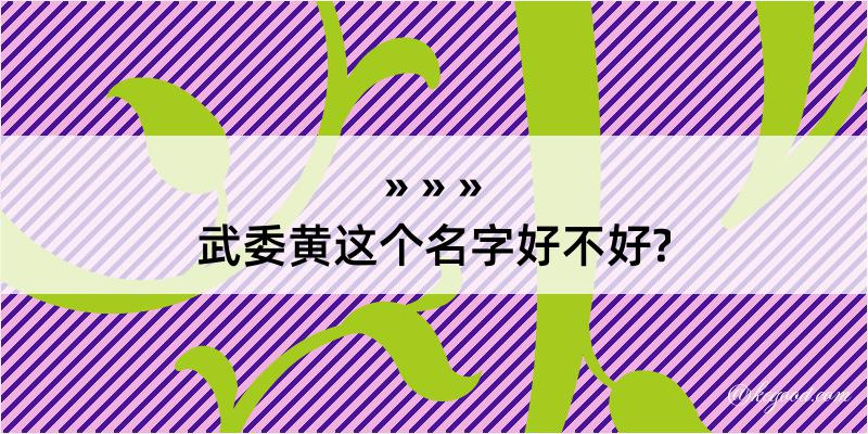 武委黄这个名字好不好?