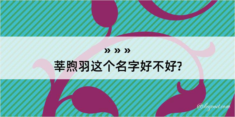 莘煦羽这个名字好不好?