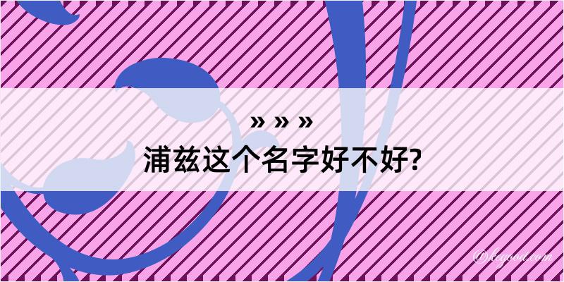 浦兹这个名字好不好?