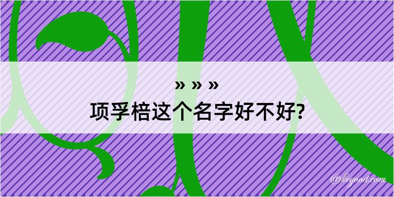 项孚棓这个名字好不好?