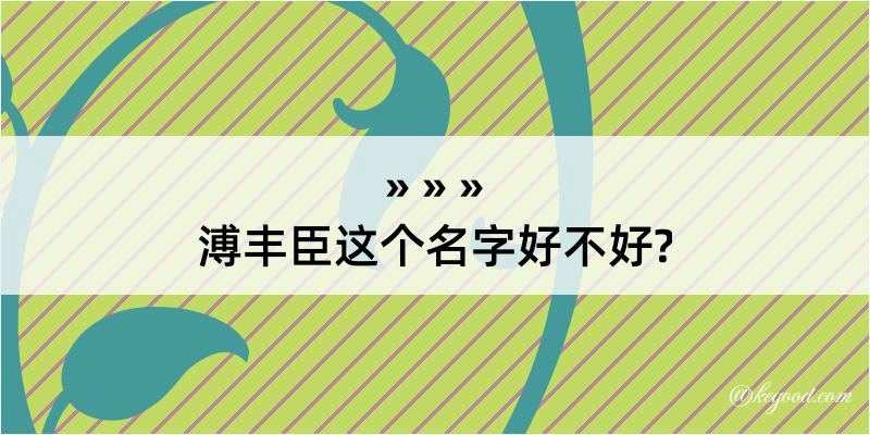 溥丰臣这个名字好不好?