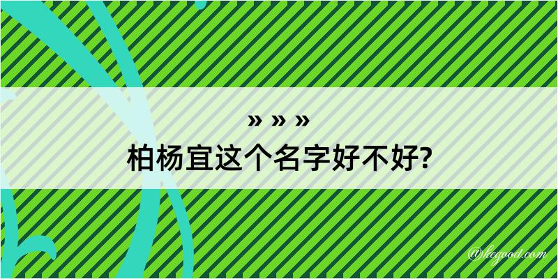 柏杨宜这个名字好不好?