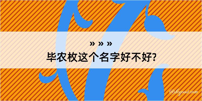 毕农枚这个名字好不好?