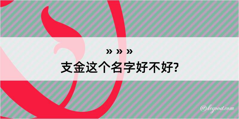 支金这个名字好不好?