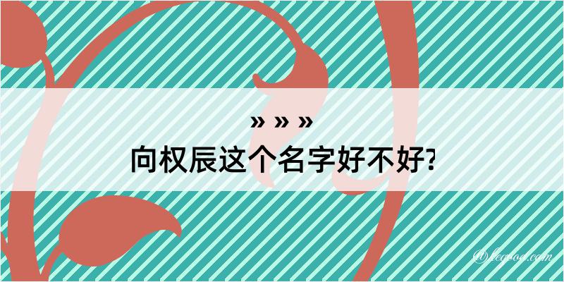 向权辰这个名字好不好?