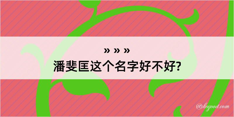 潘斐匡这个名字好不好?