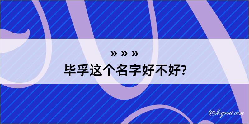 毕孚这个名字好不好?