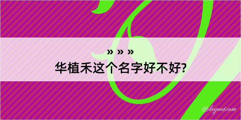 华植禾这个名字好不好?