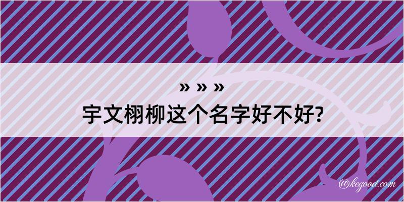 宇文栩柳这个名字好不好?