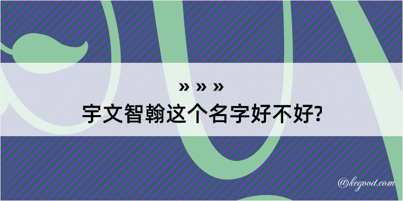 宇文智翰这个名字好不好?