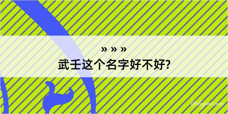 武壬这个名字好不好?