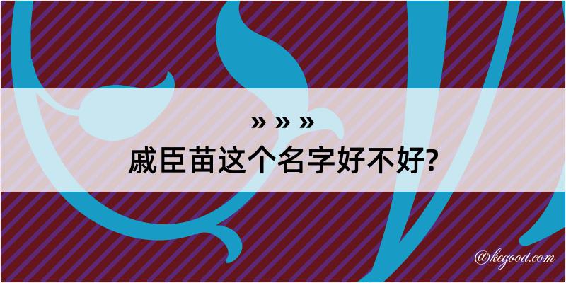 戚臣苗这个名字好不好?