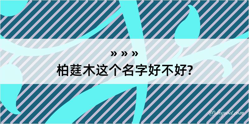 柏莛木这个名字好不好?