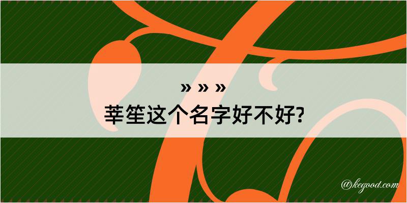 莘笙这个名字好不好?