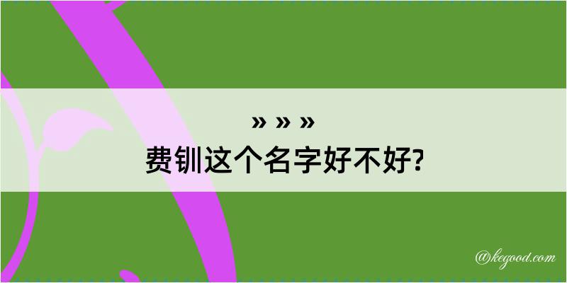 费钏这个名字好不好?