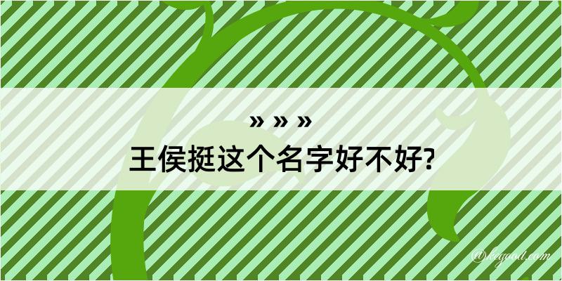 王侯挺这个名字好不好?