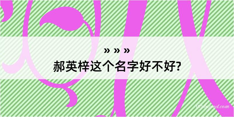 郝英梓这个名字好不好?