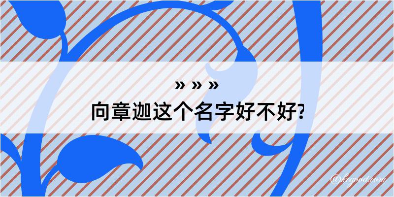 向章迦这个名字好不好?