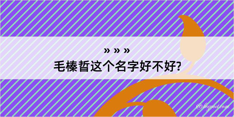 毛榛晢这个名字好不好?