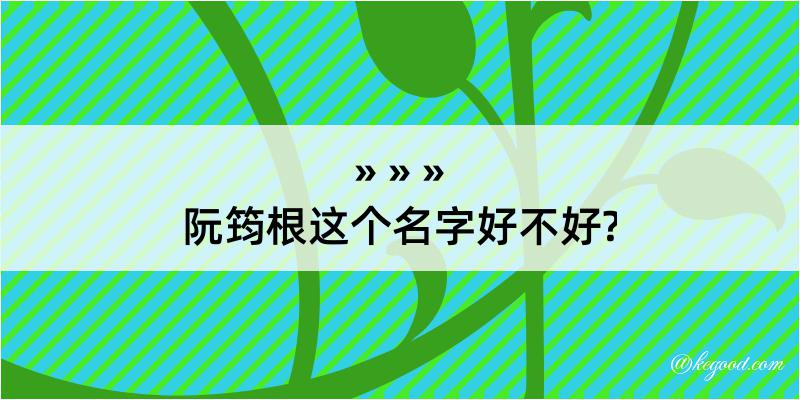 阮筠根这个名字好不好?