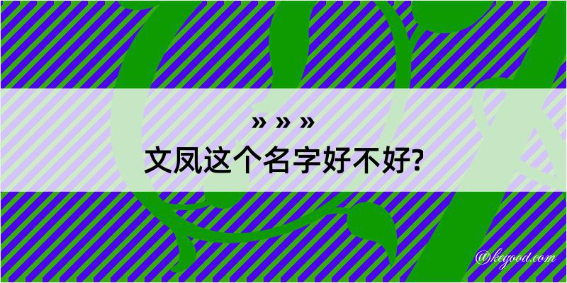 文凤这个名字好不好?