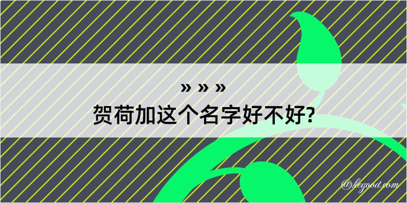 贺荷加这个名字好不好?