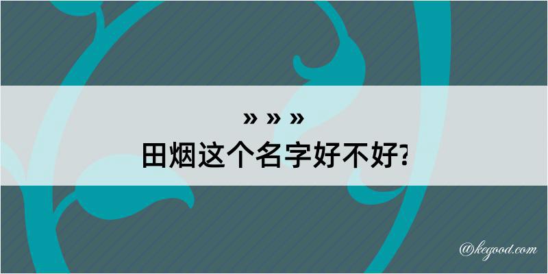 田烟这个名字好不好?