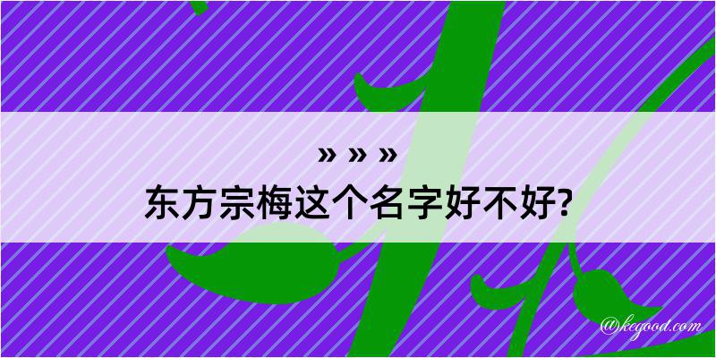 东方宗梅这个名字好不好?