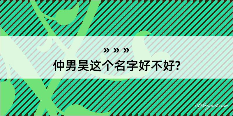 仲男昊这个名字好不好?