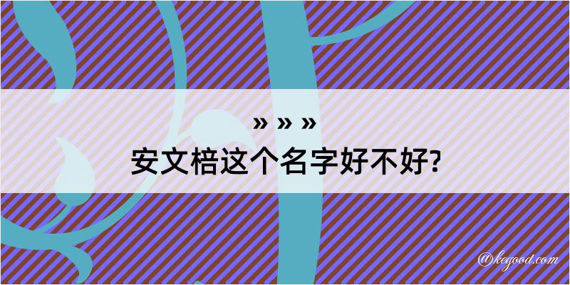 安文棓这个名字好不好?