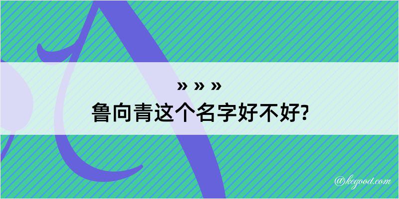 鲁向青这个名字好不好?