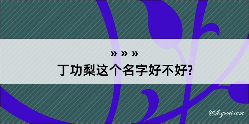 丁功梨这个名字好不好?