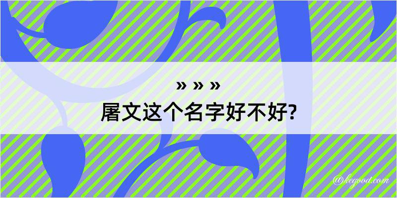 屠文这个名字好不好?