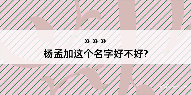 杨孟加这个名字好不好?