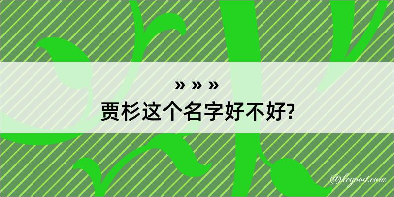 贾杉这个名字好不好?