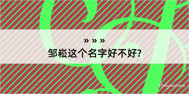 邹崧这个名字好不好?