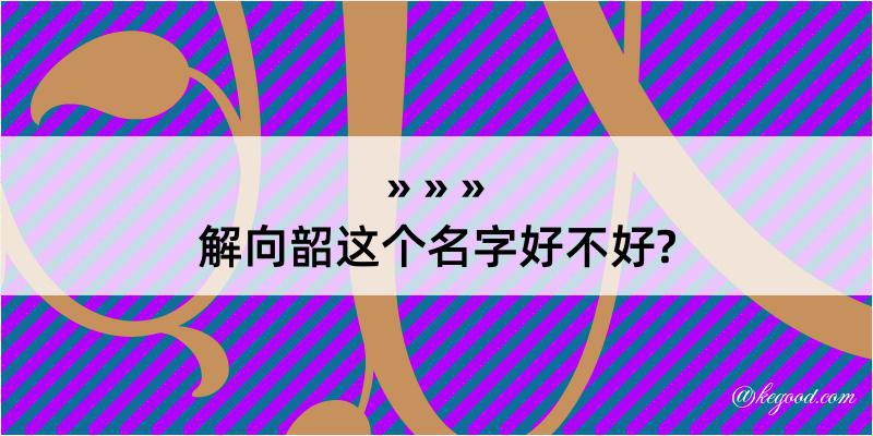 解向韶这个名字好不好?