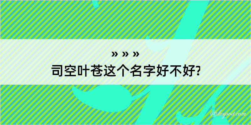 司空叶苍这个名字好不好?