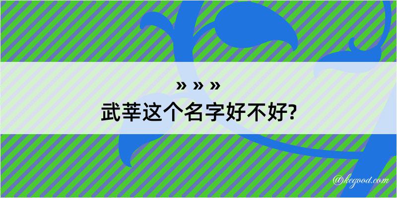 武莘这个名字好不好?