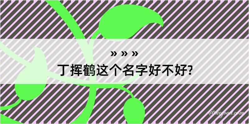 丁挥鹤这个名字好不好?