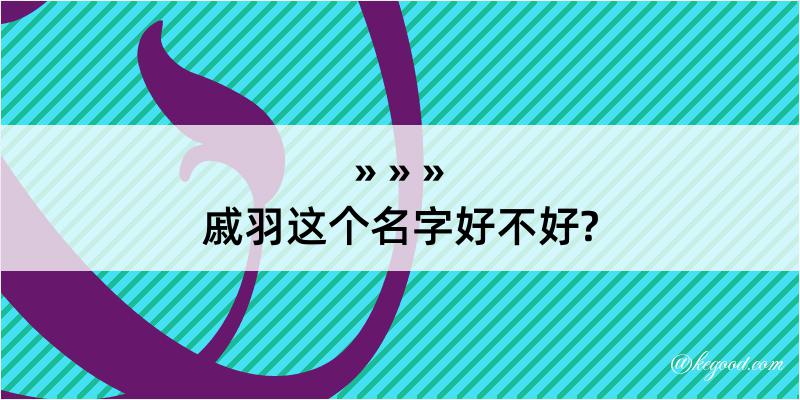 戚羽这个名字好不好?