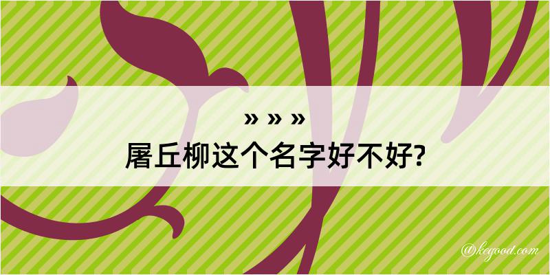 屠丘柳这个名字好不好?