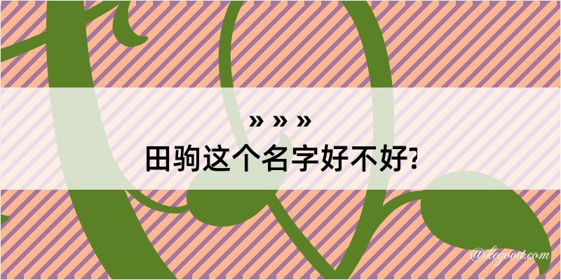 田驹这个名字好不好?