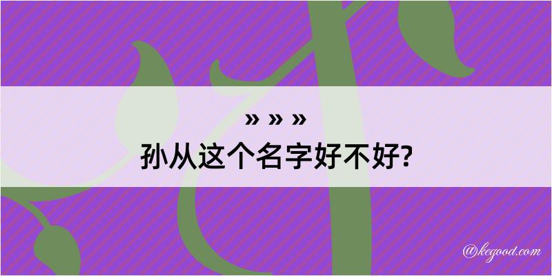 孙从这个名字好不好?