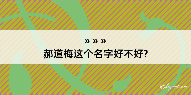 郝道梅这个名字好不好?